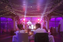 Mariage-Lauren-et-Maxime-HD-037