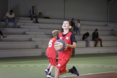 Poussins-AMSUR-Malaussanne-HD-004