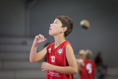 Poussins-AMSUR-Malaussanne-HD-007