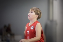 Poussins-AMSUR-Malaussanne-HD-008