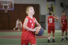 Poussins-AMSUR-Malaussanne-HD-009