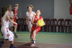 Poussins-AMSUR-Malaussanne-HD-032