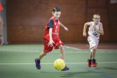 Poussins-AMSUR-Malaussanne-HD-033