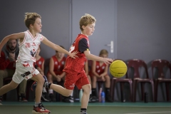 Poussins-AMSUR-Malaussanne-HD-039