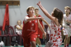 Poussins-AMSUR-Malaussanne-HD-051