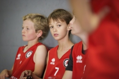 Poussins-AMSUR-Malaussanne-HD-054