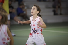 Poussins-AMSUR-Malaussanne-HD-069