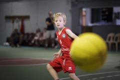 Poussins-AMSUR-Malaussanne-HD-072