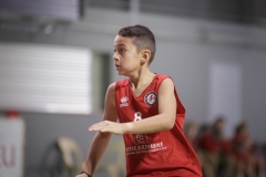 Poussins-AMSUR-Malaussanne-HD-077